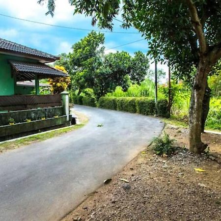 Villa Amalura I Yogyakarta Kültér fotó